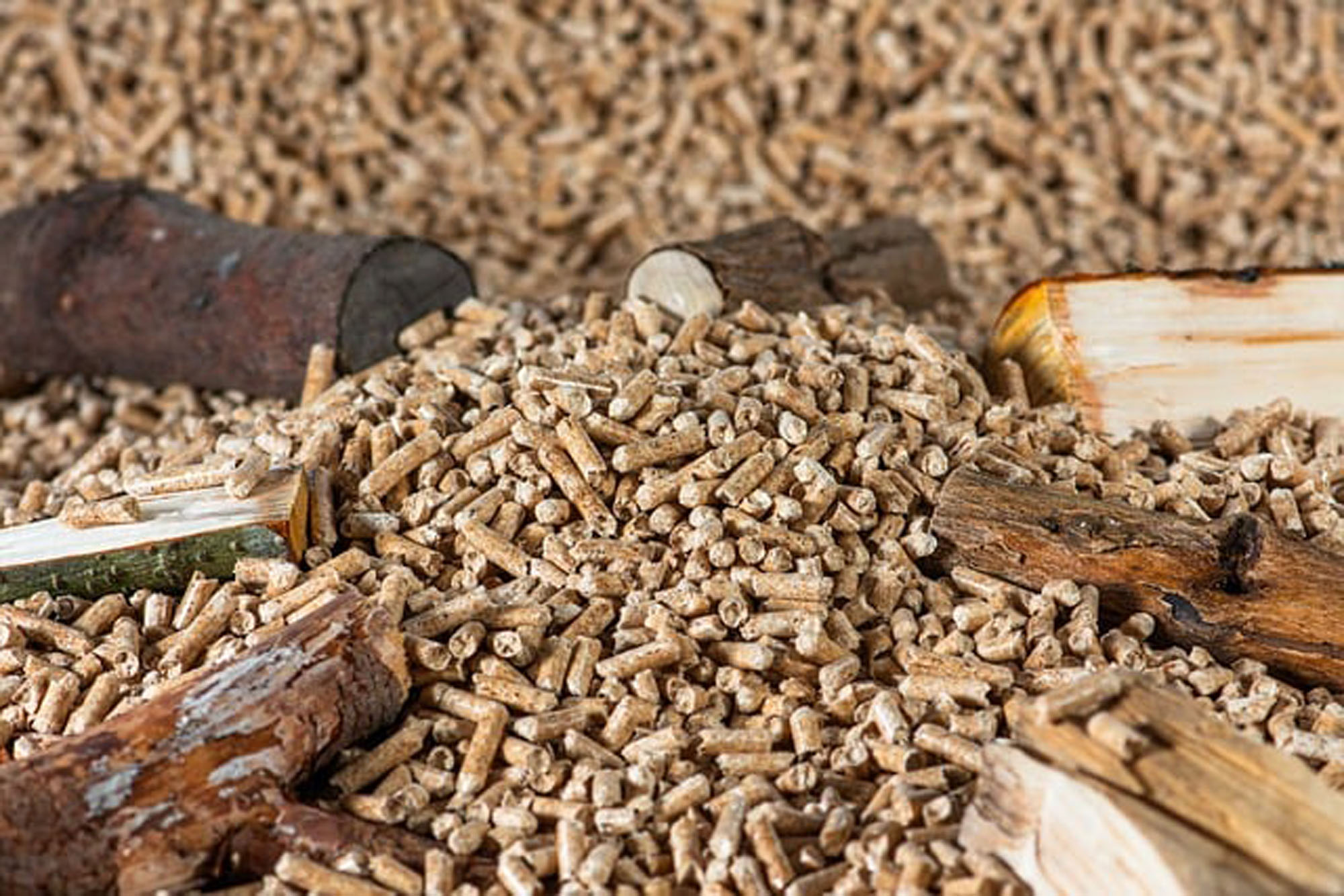 pellet-8534567_640