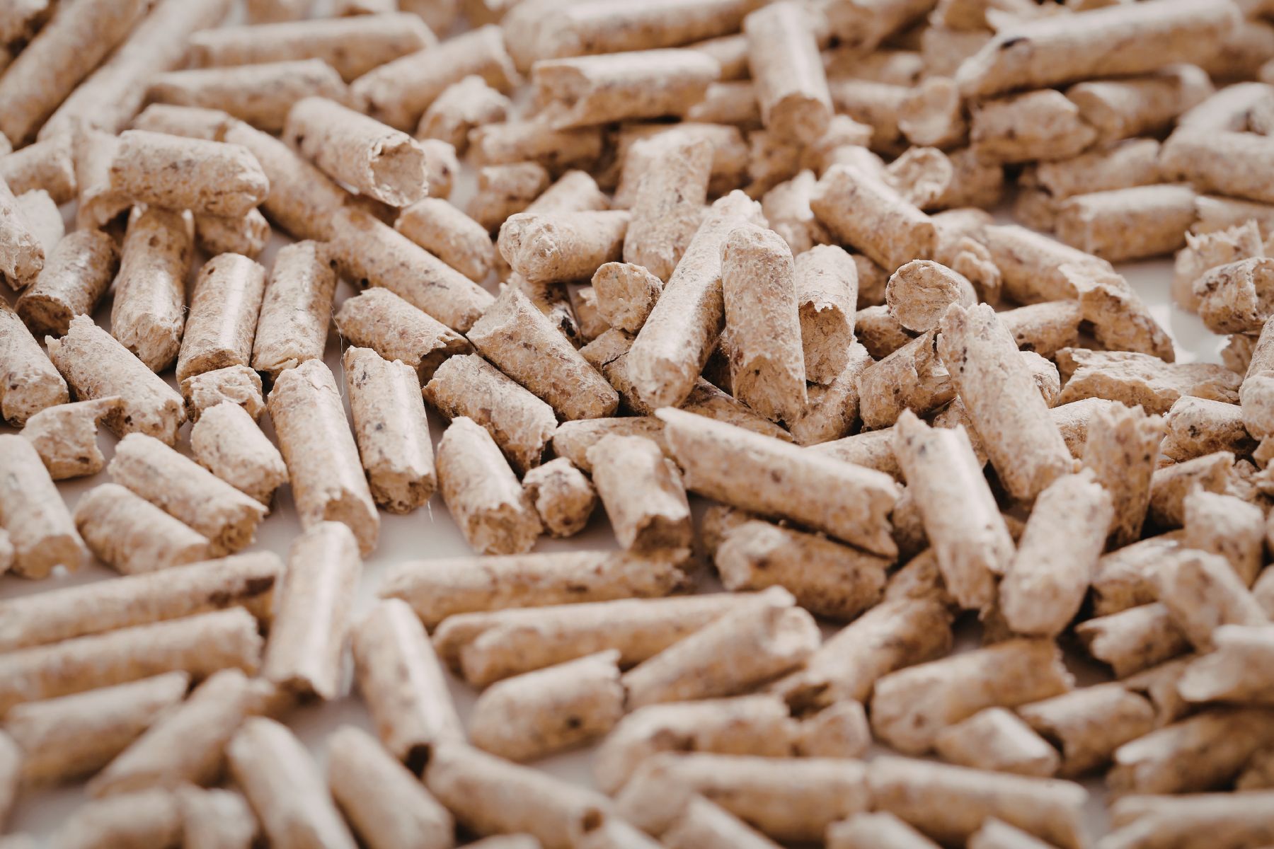 pellet1